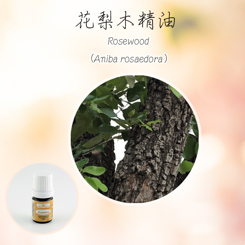 花梨木精油5ml 平衡陰陽的防護之油 蝦皮購物