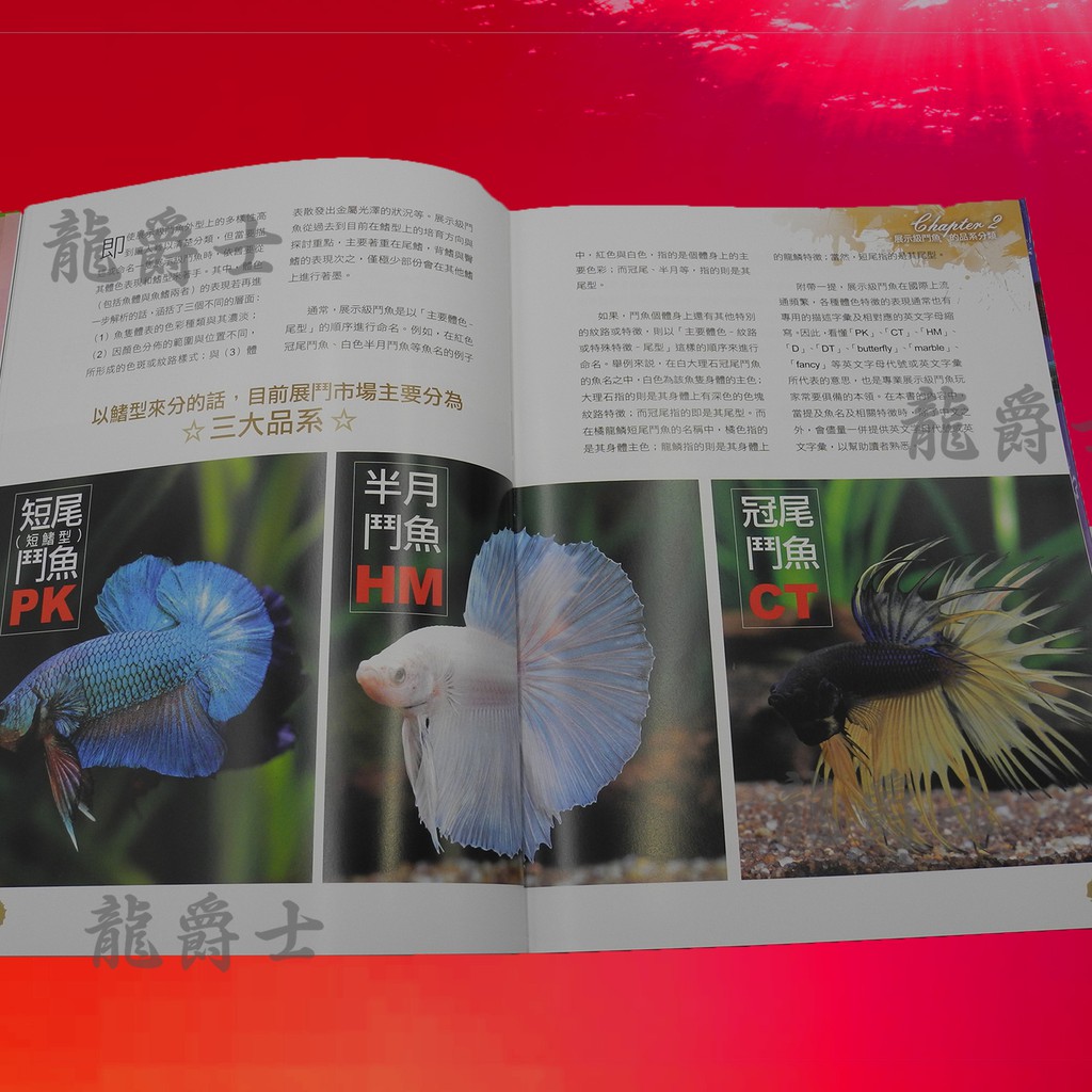 現貨 龍爵士水族 展示級鬥魚的魅力書籍q3 蝦皮購物