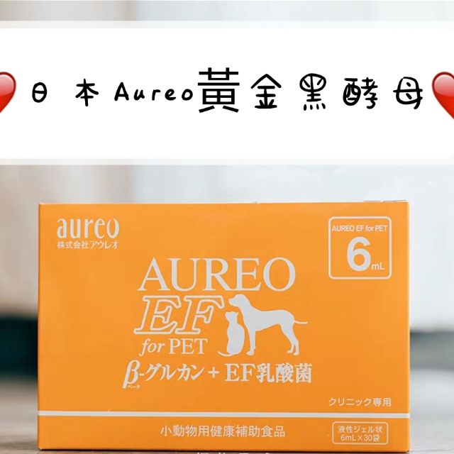 日本 AUREO黃金黑酵母  寵物用口服液 黑酵母 （6ml）Aureo 黑酵母 強化免疫