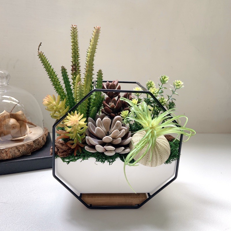 G J野比花園 好質感簡約花器 多肉植物盆栽 仿真人造多肉植物免澆水 開幕送禮 榮升誌慶 蝦皮購物