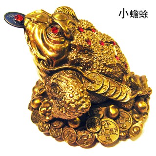純銅金蟾蜍 招財三腳咬錢蟾蜍(小) 10x10x9cm銅雕 嘴含古錢有鑲鑽 代表穩賺~保平安 避邪檔煞 趨吉避兇
