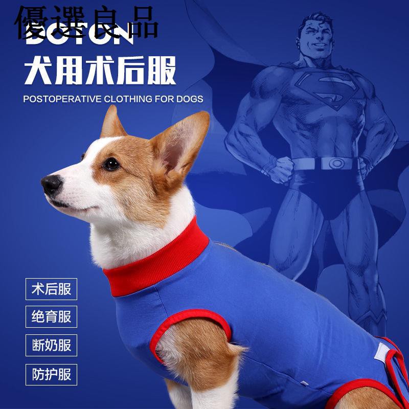 現貨下殺狗狗絕育手術恢復衣服狗術后服護理衣服防舔寵物狗狗衣服款絕育服防舔絕育服 蝦皮購物