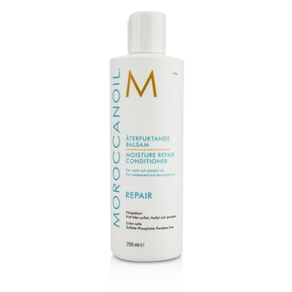 Moroccanoil 摩洛哥優油 - 優油保濕修復護髮劑-專為脆弱受損髮質專用