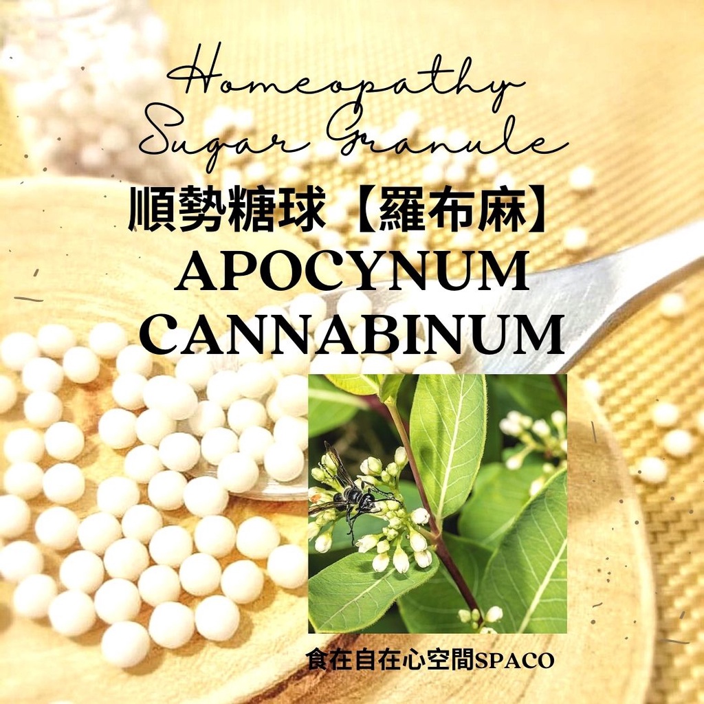 順勢糖球【羅布麻●Apocynum Cannabinum】Homeopathic Granule 9克 食在自在心空間