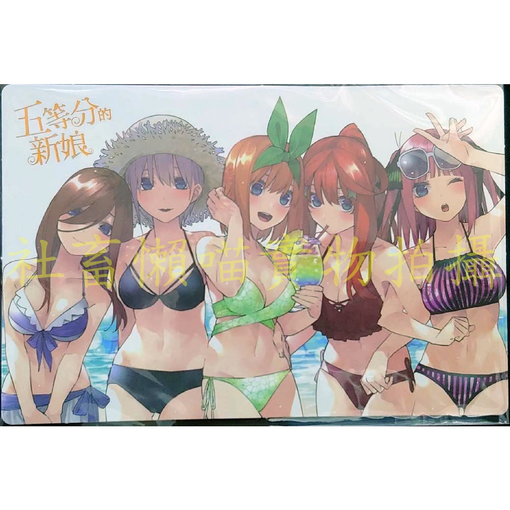 五等分的新娘 11 贈品 特典 泳裝 燙金 明信片