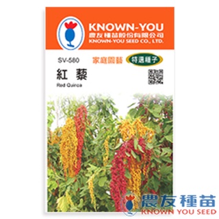 《農友種苗》特選蔬果種子 SV-580紅藜