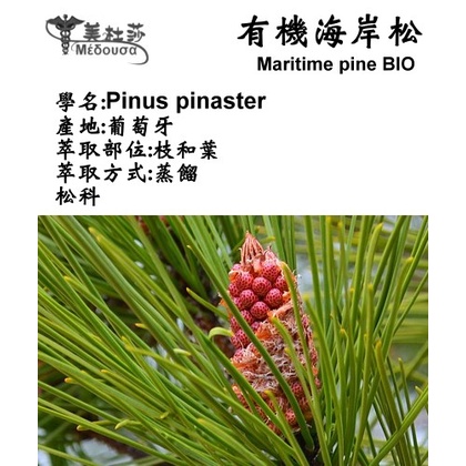 葡萄牙精油5ml 10ml 15ml 現貨 超值 100 精油 有機頭狀薰衣草 日本柳杉 海岸松 蝦皮購物