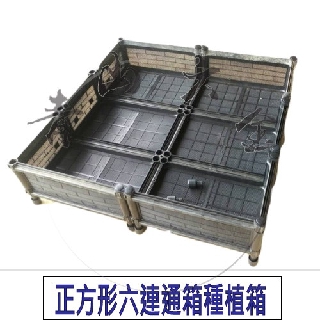 『青山六金』 附發票 正方形 六連通 箱 種植箱 S6 栽培箱 水耕箱 植栽箱 花架 花盆 園藝 DIY