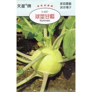 種子王國 球莖甘藍 甘藍 【蔬果種子】 天星牌 彩色包裝 原包裝種子 家庭園藝 小包裝種子