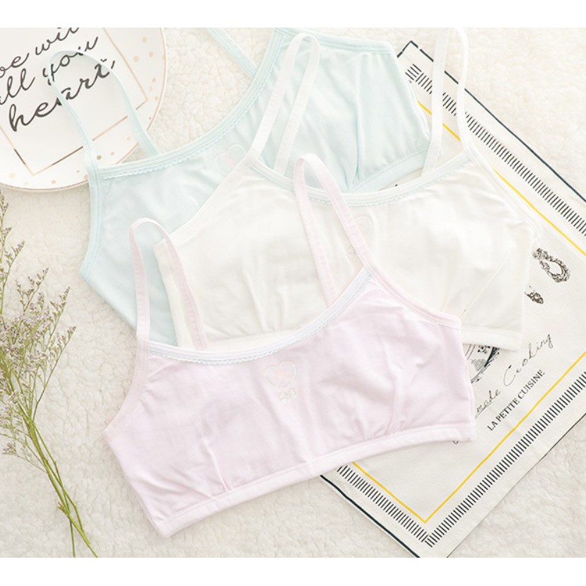 韓版純棉男童內褲5件組 彩色恐龍盒裝兒童三角褲 20 40kg適穿 萌萌豬生活館 生活市集