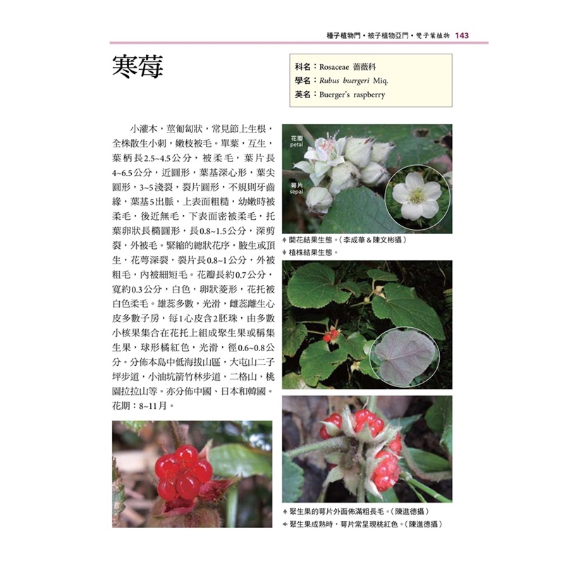 新細說台灣原生植物 折 Taaze讀冊生活網路書店 蝦皮購物