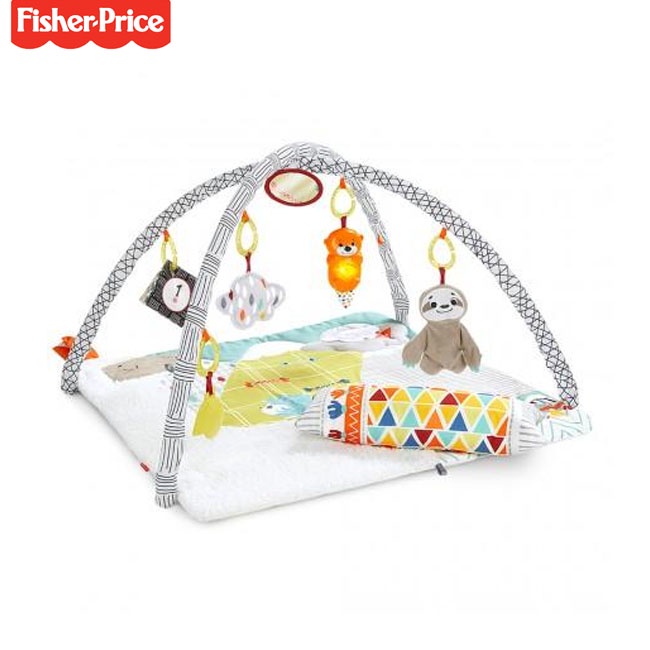 費雪 Fisher-Price 感官訓練可愛動物健身器