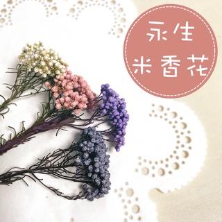 小米花 優惠推薦 22年9月 蝦皮購物台灣