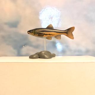 絕版日本yujin 原色淡水魚圖鑑 Ll原色海水圖鑑ll 零售 蝦皮購物