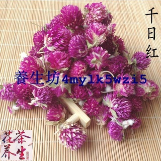 千日紅的價格推薦 21年8月 比價撿便宜