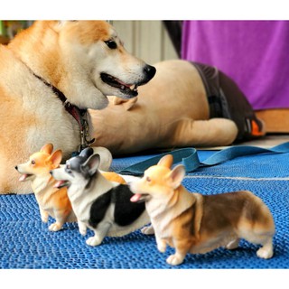 【柏斯商號】模擬柯基公仔模型 三色柯基擺飾 柴犬公仔