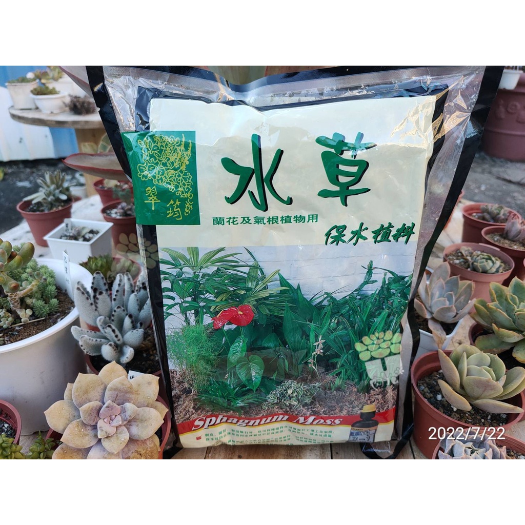 肉yu 多肉萌萌會 園藝水苔水草 3l 多肉 蘭花 鹿角蕨 一般庭院植物 蝦皮購物
