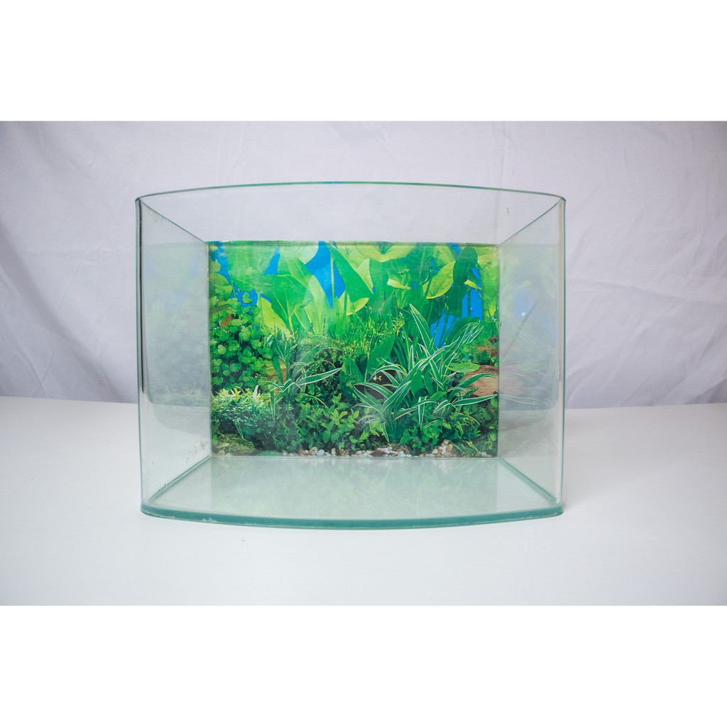 8吋 海灣型 高透析 空缸 玻璃 魚缸 二手