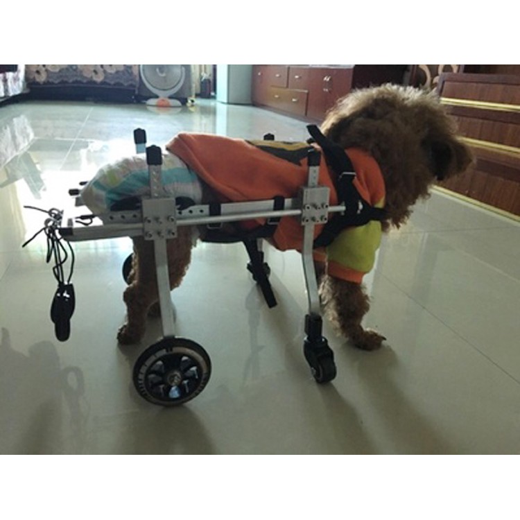 小中大型犬貓咪適用四輪狗輪椅寵物後肢殘疾癱瘓康復輪椅狗康復車動物輔助支架四輪代步車 蝦皮購物