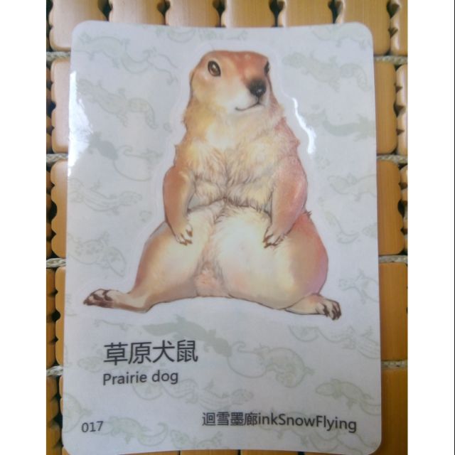 防水貼紙-017草原犬鼠 土撥鼠