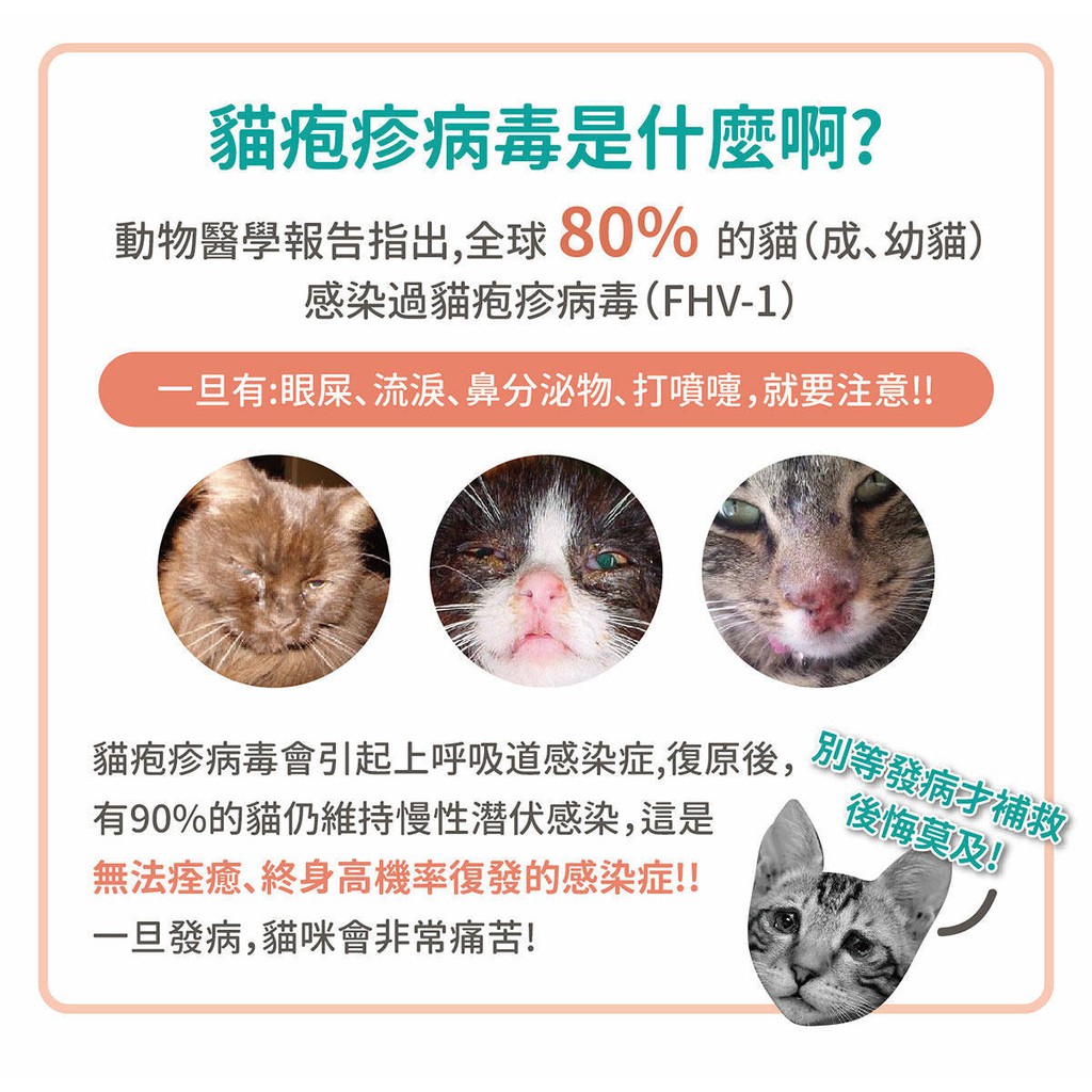 🐶派特寵物🐱汪喵星球100%PURE純離胺酸50g 貓咪離氨酸純淨離胺酸，適合 