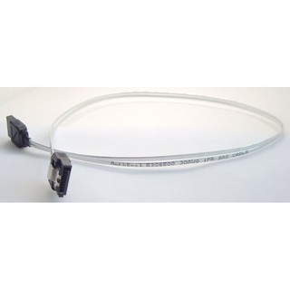 雙鐵扣 雙直頭 安費諾 SATA3 6G 48cm 標準 SAS線身 SATA線 支持SATA3 SATAIII 6G