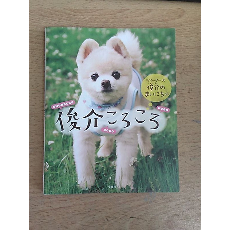 俊介 優惠推薦 22年11月 蝦皮購物台灣