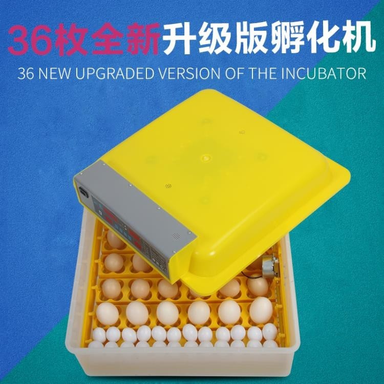 新品下殺孵化器孵化機全自動家用型小型孵化器雞鴨鵝鴿子孵蛋器智能孵卵器孵化箱青木鋪子 蝦皮購物