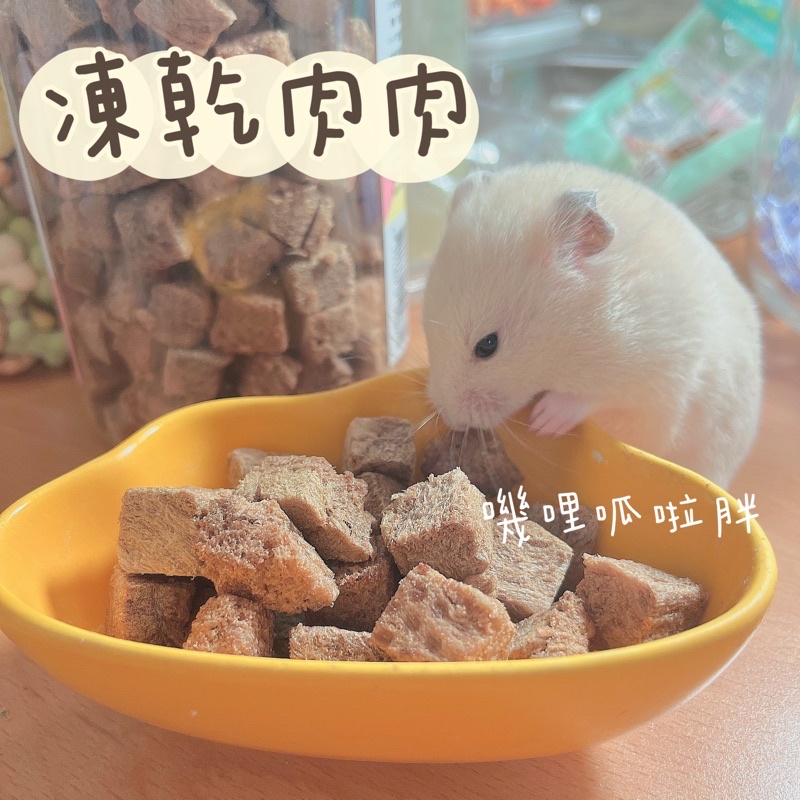 嘰哩呱啦胖｜台灣製造 Mr.凍乾 凍乾肉肉 寵物零食 倉鼠零食