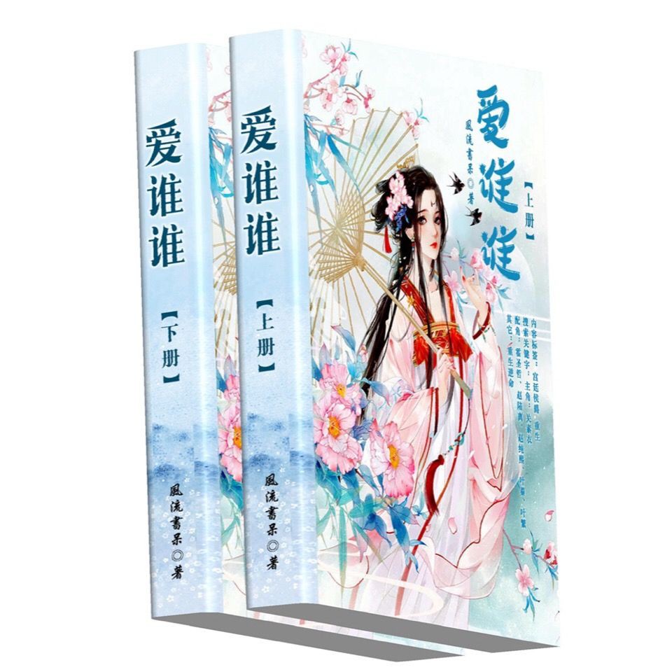 愛誰誰 小說全集全套2冊完整無刪減by風流書呆 蝦皮購物