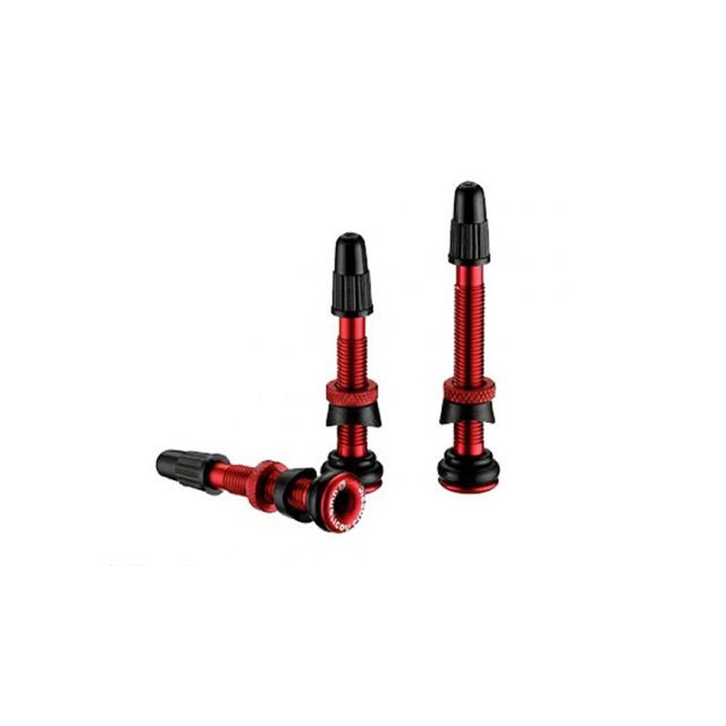 【飛輪單車】 AICAN 無內胎 專用延長氣嘴 O-ring設計 46mm[36000045/6]