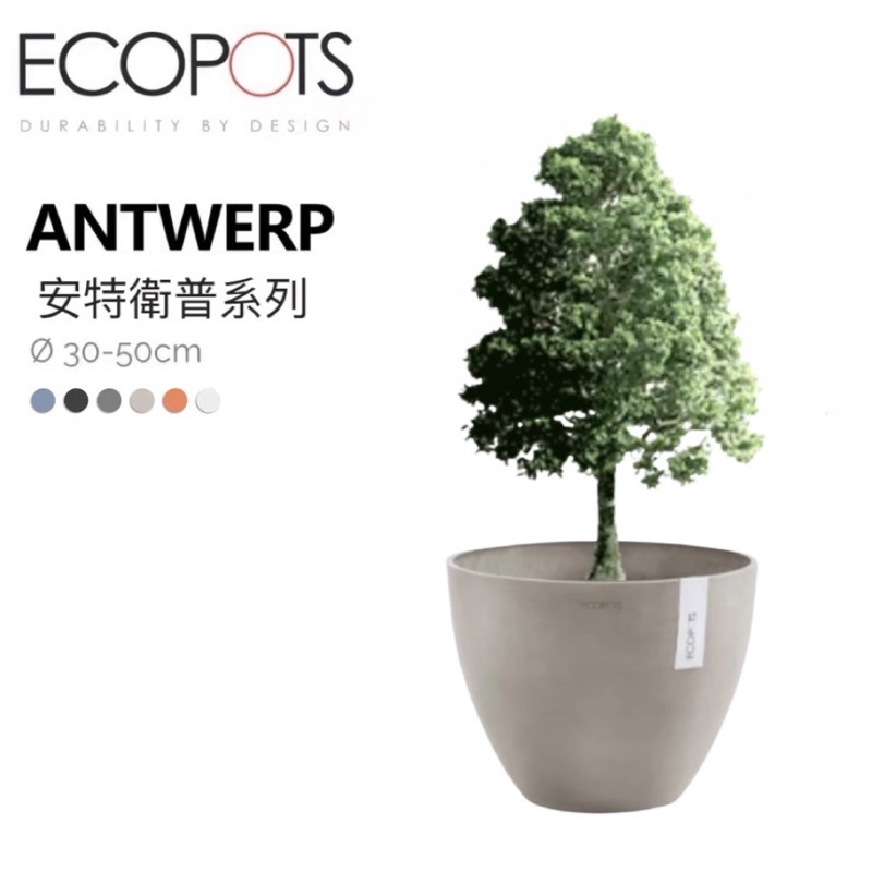 ECOPOTS 比利時環保盆栽 蛋型盆 樹盆 盆栽 花瓶 觀葉植物盆 樹盆 仙人掌龍舌蘭盆 花盆  蘭花盆 多肉盆 塊根