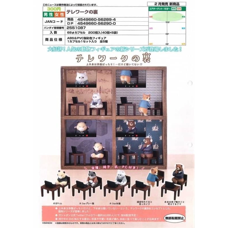 現貨 單售攝像頭外的工作動物倉鼠熊柯基 蝦皮購物