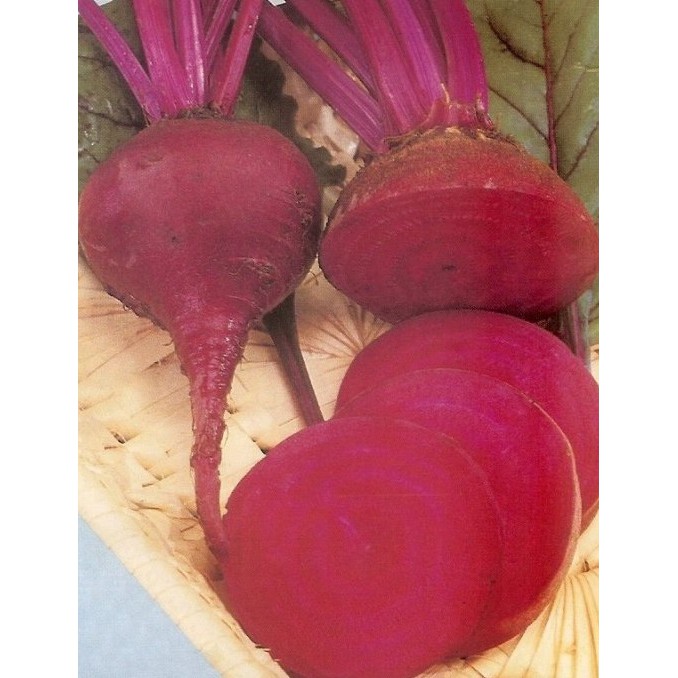 【大包裝蔬菜種子L180】紅肉甜菜根~ 生長旺盛，根系發達，栽培管理容易。根球圓型，肉質深紅，生育期約120天採收。