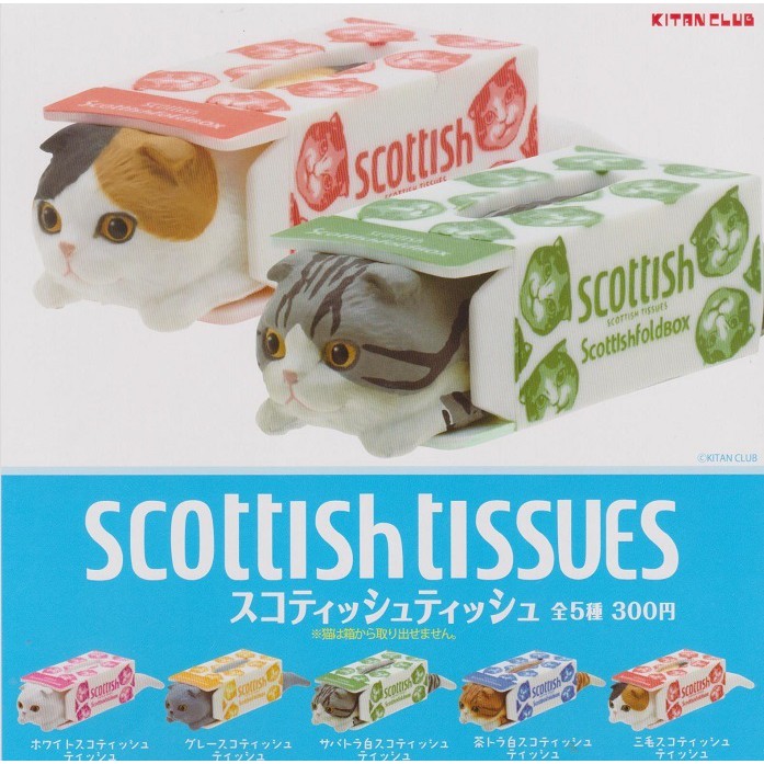 【日玩獵人】KITAN(轉蛋) 蘇格蘭摺耳貓&amp;衛生紙盒 全5種 整套販售