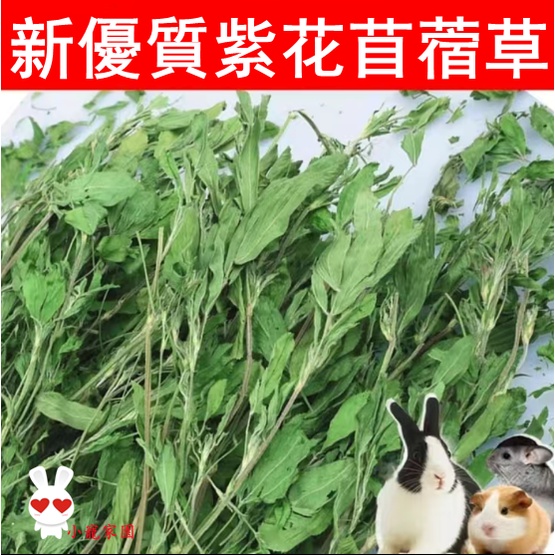 烘幹紫花苜蓿草幹草幼兔新鮮兔子草料龍貓兔草兔糧寵物荷蘭豬牧草 蝦皮購物
