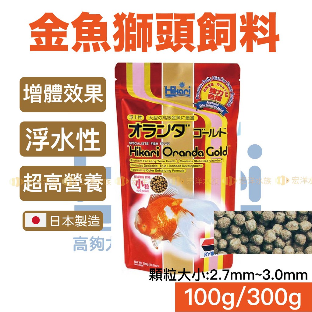 高仿錶日本 Hikari 高夠力 金魚 獅頭飼料 小顆粒 100g 300g 浮上性 獅頭 蘭壽 東錦 壽星 I Position 優惠推薦 21年10月 蝦皮購物台灣