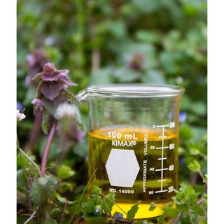 安朵家進口系列浸泡油花系列浸泡油新品登場 蝦皮購物