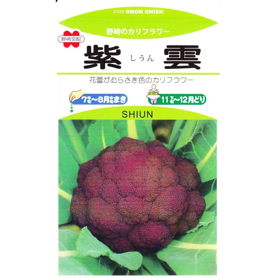 紫色花椰菜 優惠推薦 21年9月 蝦皮購物台灣