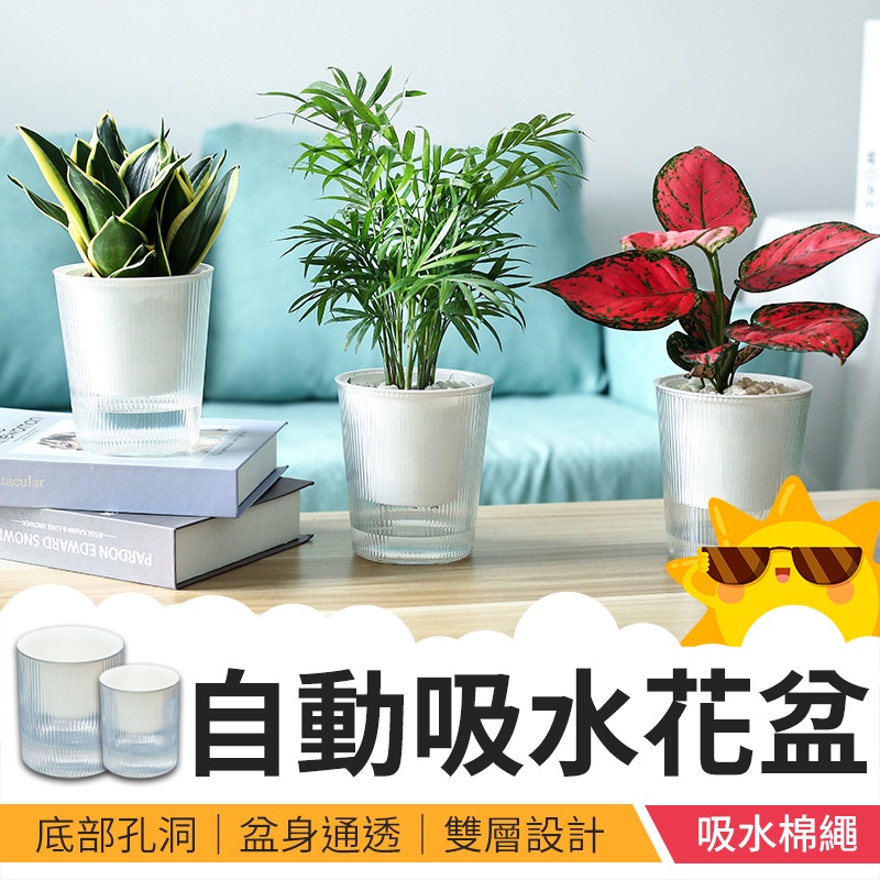 生活小物 自動吸水花盆花盆盆栽塑膠盆水耕植物懶人花盆水培花盆透明花盆吸水花盆 Summer太陽小舖 蝦皮購物