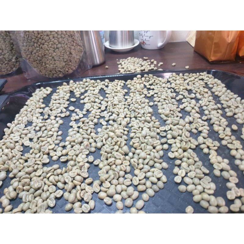 過年2022 生豆30公斤袋裝出貨  ! #咖啡 #生豆 #CP值最高巴西喜拉朵日曬17/18目高品質