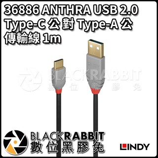 【LINDY 林帝 36886 ANTHRA USB 2.0 TypeC 公 對 TypeA 公 傳輸線1m】數位黑膠兔