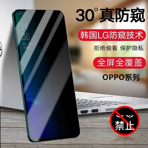 OPPO R17 CPH1879 R17 PRO CPH1877 防窺膜 全膠 滿版 鋼化膜 保護貼 玻璃貼