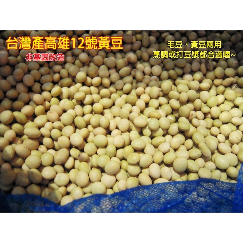綠翡翠「高雄12號」非基改黃豆(超大顆！)500g含袋裝~當季新鮮供應！