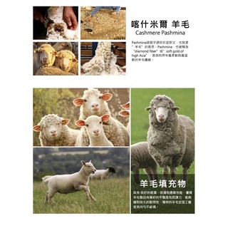 喀什米爾高原羊毛枕  羊毛枕 MIT台灣製造 AW #3