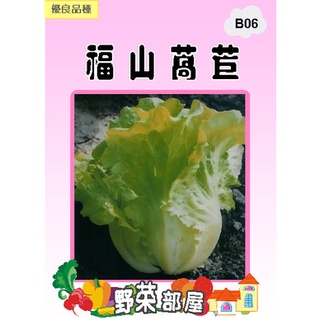 【萌田種子~中包裝】B06 福山萵苣種子70公克 , 又名大陸妹 , 每包190元~