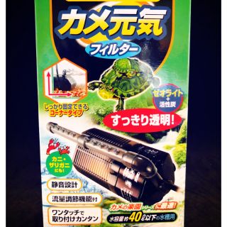 【彩虹騎士免運】日本GEX五味烏龜專用過濾器及替換濾材（1個）烏龜，兩棲，爬蟲，角蛙，小型缸，活性碳，沸石，烏龜飼料