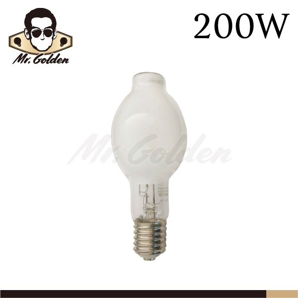 【購燈先生】附發票 大友照明 200W 水銀燈泡 E40燈座 HPM200 燈泡