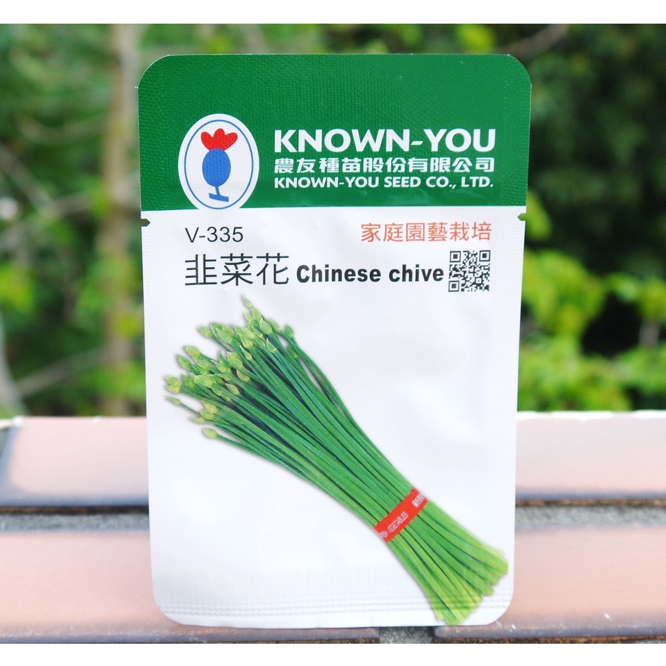 韭菜花 🌱 種子🌱任選綠色包裝五包送種子(隨機)🌱(蔬菜)(拌炒)【花樣渼栽盆栽生活館🌿】