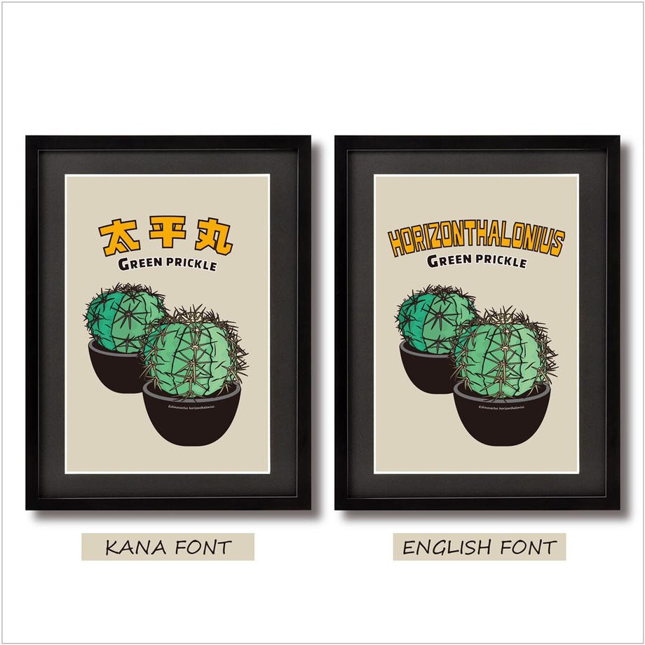 日本green Prickle多肉植物插圖 蝦皮購物